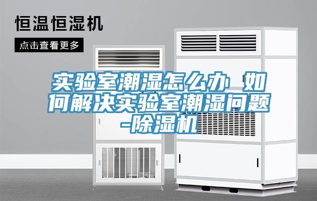 實驗室潮濕怎么辦 如何解決實驗室潮濕問題-除濕機