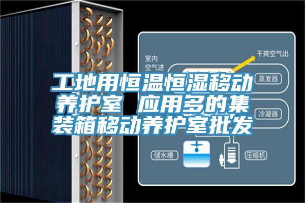 工地用恒溫恒濕移動養(yǎng)護室 應(yīng)用多的集裝箱移動養(yǎng)護室批發(fā)