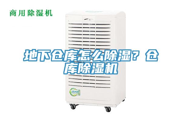 地下倉(cāng)庫怎么除濕？倉(cāng)庫除濕機(jī)