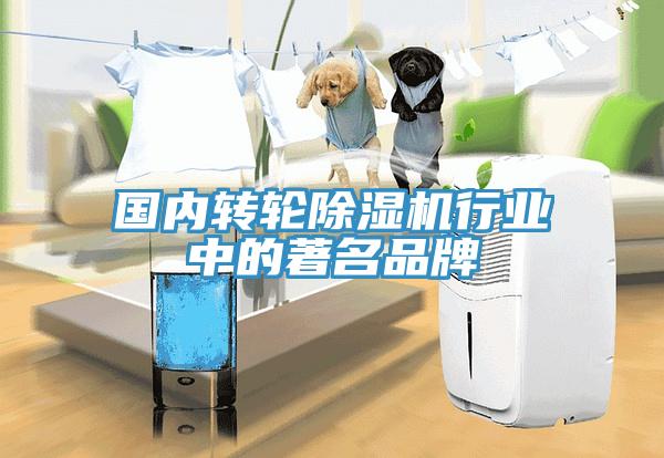 國內轉輪除濕機行業(yè)中的著名品牌