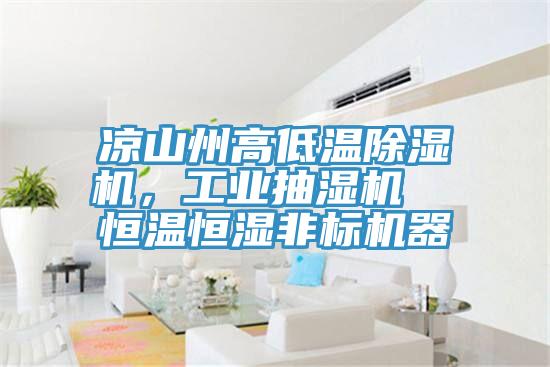 涼山州高低溫除濕機(jī)，工業(yè)抽濕機(jī)  恒溫恒濕非標(biāo)機(jī)器