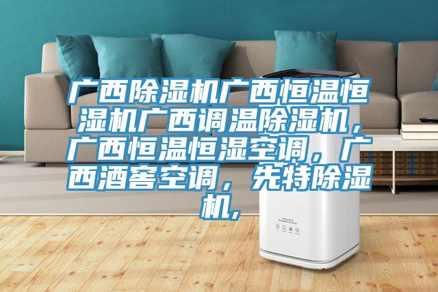 廣西除濕機廣西恒溫恒濕機廣西調溫除濕機，廣西恒溫恒濕空調，廣西酒窖空調，先特除濕機,