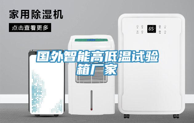 國外智能高低溫試驗箱廠家
