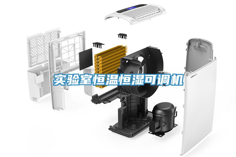 實(shí)驗(yàn)室恒溫恒濕可調(diào)機(jī)