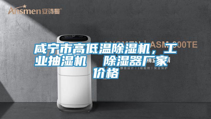 咸寧市高低溫除濕機，工業(yè)抽濕機  除濕器廠家 價格