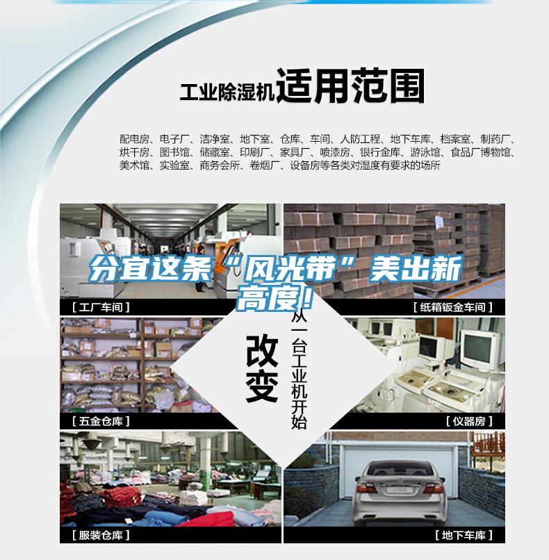 分宜這條“風(fēng)光帶”美出新高度！