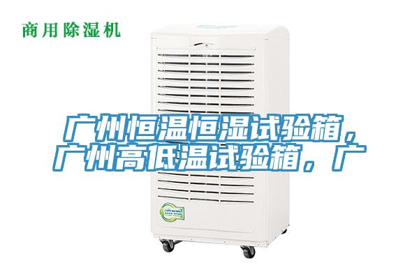 廣州恒溫恒濕試驗箱，廣州高低溫試驗箱，廣