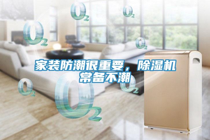 家裝防潮很重要，除濕機常備不潮