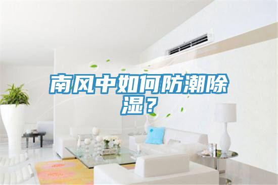 南風(fēng)中如何防潮除濕？