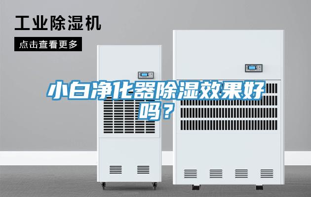 小白凈化器除濕效果好嗎？