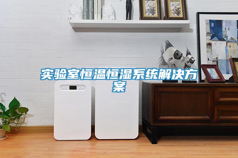 實驗室恒溫恒濕系統(tǒng)解決方案