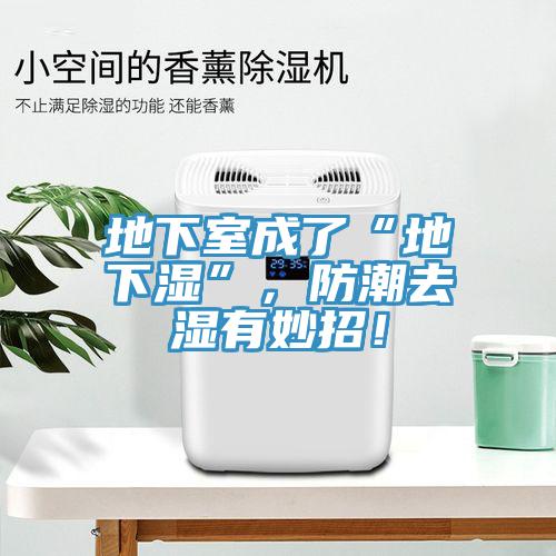 地下室成了“地下濕”，防潮去濕有妙招！