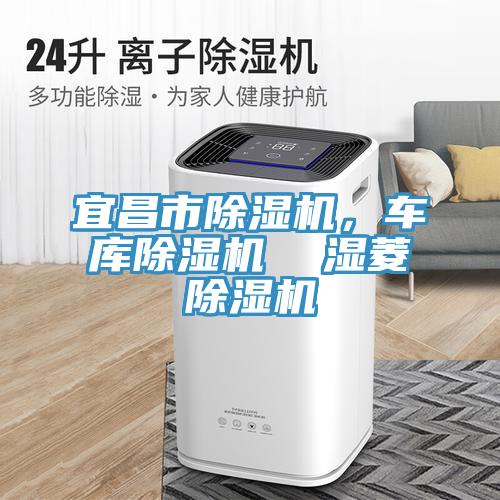 宜昌市除濕機，車庫除濕機  濕菱除濕機