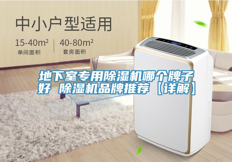 地下室專用除濕機(jī)哪個(gè)牌子好 除濕機(jī)品牌推薦【詳解】