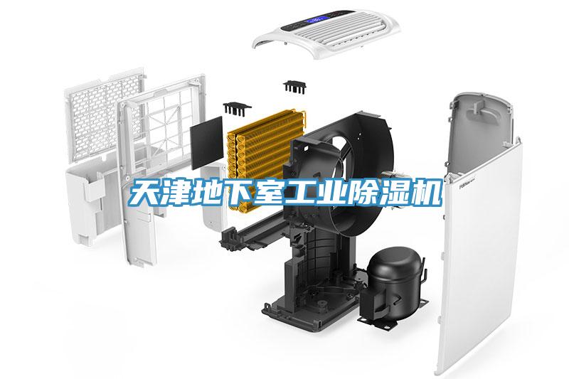天津地下室工業(yè)除濕機