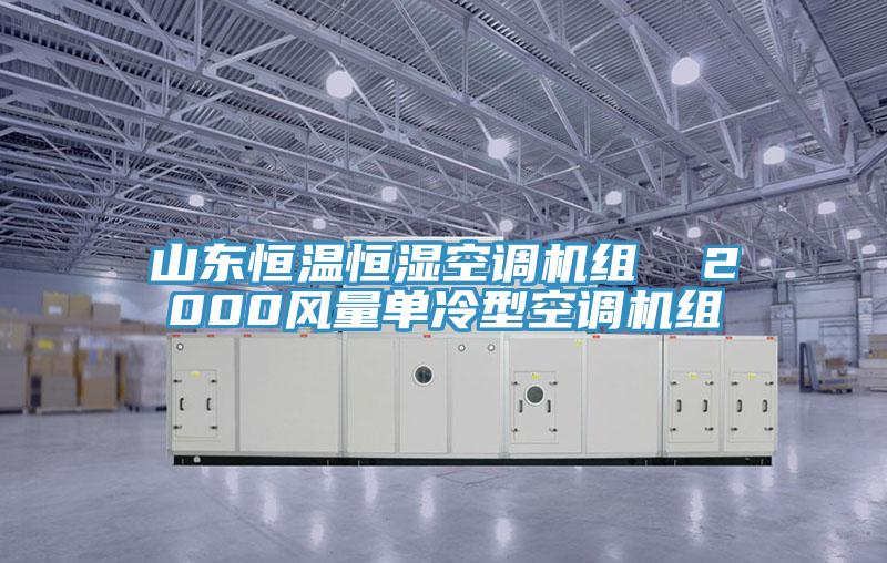 山東恒溫恒濕空調(diào)機組  2000風量單冷型空調(diào)機組
