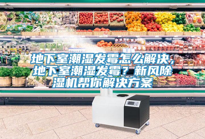 地下室潮濕發(fā)霉怎么解決，地下室潮濕發(fā)霉？新風(fēng)除濕機(jī)幫你解決方案