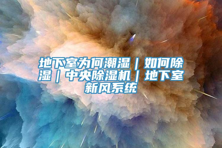 地下室為何潮濕｜如何除濕｜中央除濕機｜地下室新風系統(tǒng)