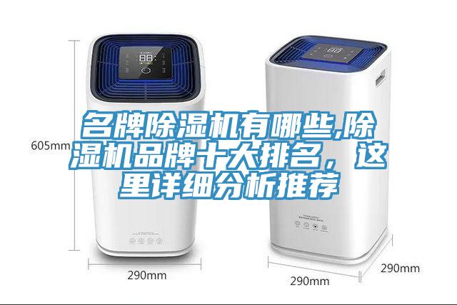名牌除濕機有哪些,除濕機品牌十大排名，這里詳細分析推薦