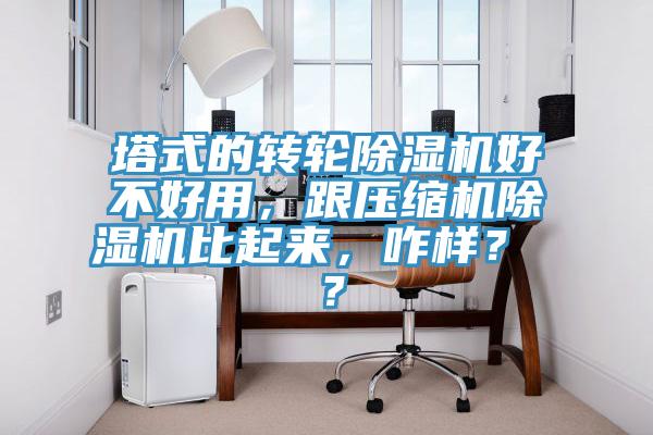 塔式的轉(zhuǎn)輪除濕機(jī)好不好用，跟壓縮機(jī)除濕機(jī)比起來，咋樣？ ？