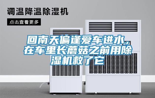 回南天偏逢愛車進(jìn)水，在車?yán)镩L蘑菇之前用除濕機(jī)救了它