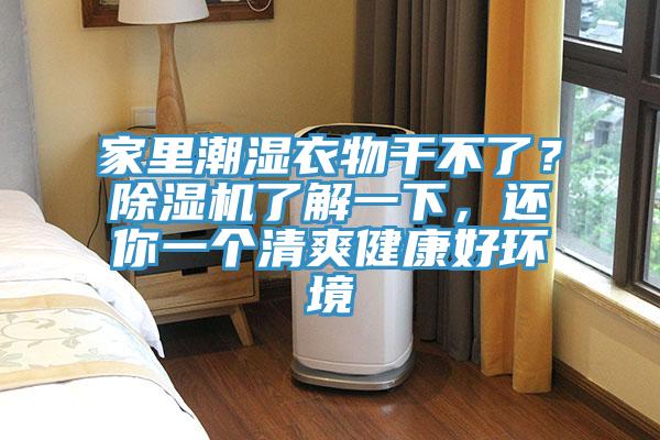 家里潮濕衣物干不了？除濕機了解一下，還你一個清爽健康好環(huán)境
