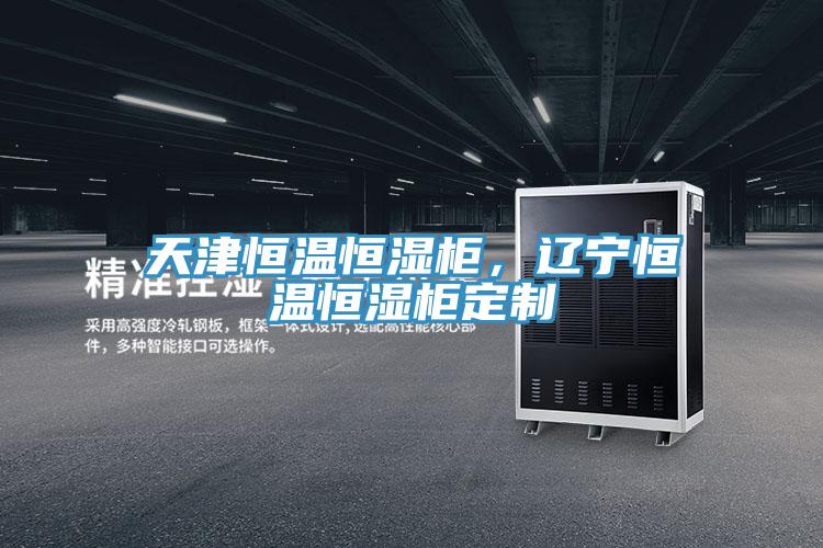 天津恒溫恒濕柜，遼寧恒溫恒濕柜定制