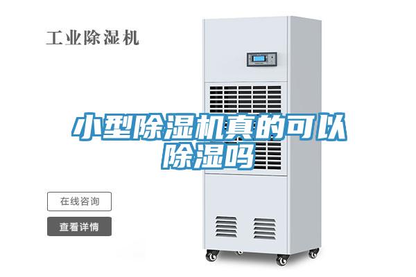 小型除濕機真的可以除濕嗎