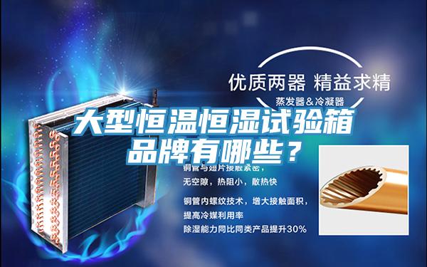 大型恒溫恒濕試驗(yàn)箱品牌有哪些？