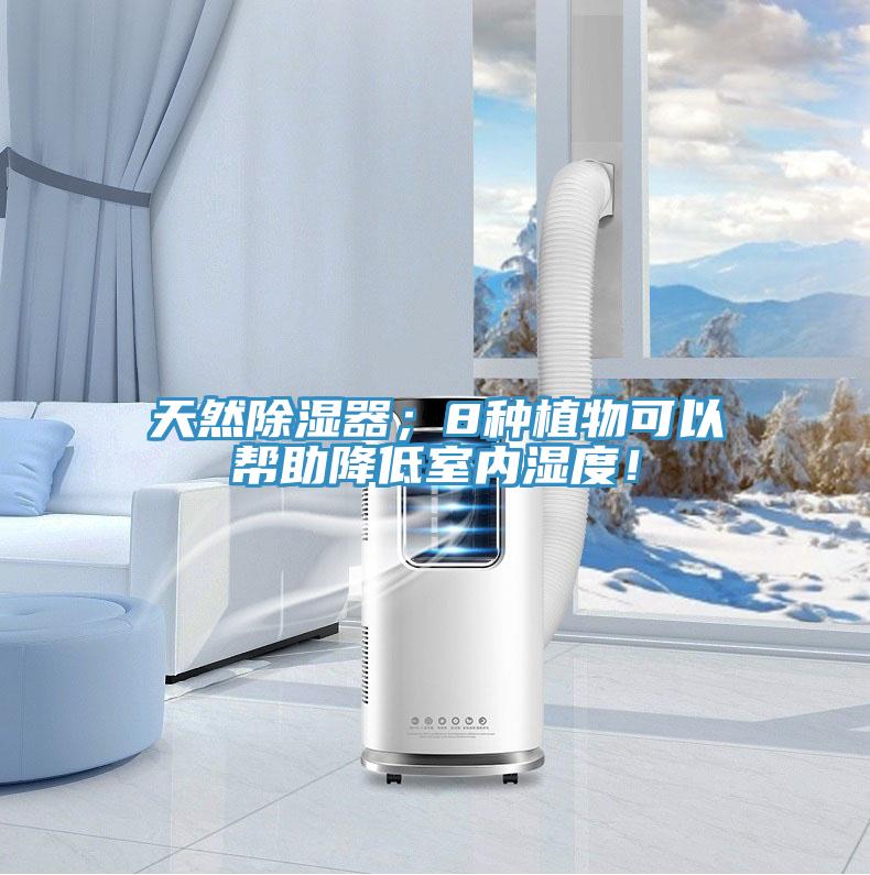 天然除濕器；8種植物可以幫助降低室內(nèi)濕度！