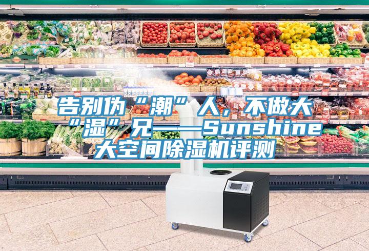 告別偽“潮”人，不做大“濕”兄——Sunshine大空間除濕機(jī)評(píng)測(cè)