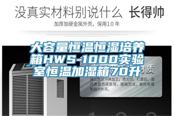 大容量恒溫恒濕培養(yǎng)箱HWS-1000實驗室恒溫加濕箱70升