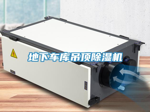 地下車(chē)庫(kù)吊頂除濕機(jī)