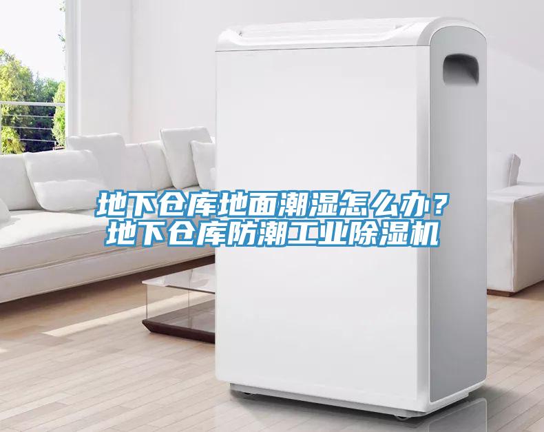 地下倉庫地面潮濕怎么辦？地下倉庫防潮工業(yè)除濕機
