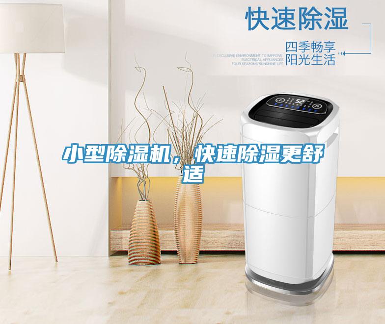 小型除濕機，快速除濕更舒適