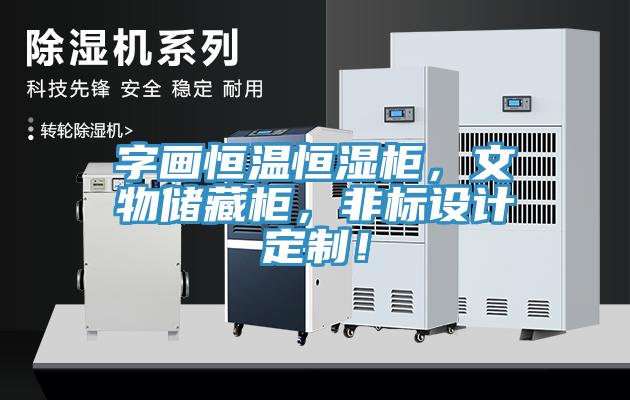 字畫(huà)恒溫恒濕柜，文物儲(chǔ)藏柜，非標(biāo)設(shè)計(jì)定制！