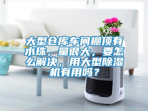 大型倉庫車間棚頂有水珠，量很大，要怎么解決，用大型除濕機(jī)有用嗎？