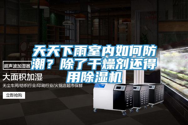 天天下雨室內(nèi)如何防潮？除了干燥劑還得用除濕機(jī)