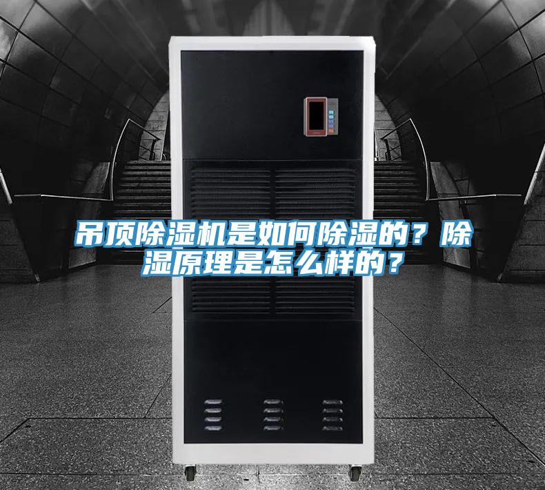 吊頂除濕機是如何除濕的？除濕原理是怎么樣的？