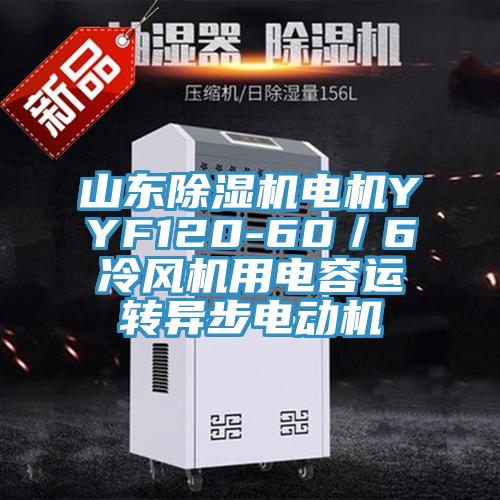 山東除濕機電機YYF120-60／6冷風機用電容運轉(zhuǎn)異步電動機