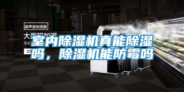 室內(nèi)除濕機(jī)真能除濕嗎，除濕機(jī)能防霉嗎