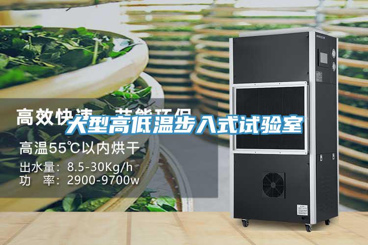 大型高低溫步入式試驗室