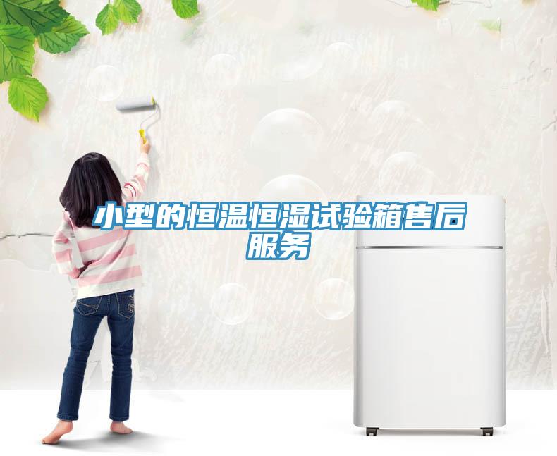 小型的恒溫恒濕試驗箱售后服務(wù)