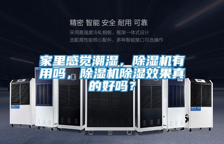 家里感覺潮濕，除濕機(jī)有用嗎，除濕機(jī)除濕效果真的好嗎？