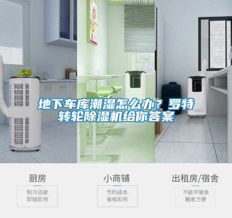 地下車庫潮濕怎么辦？羅特轉(zhuǎn)輪除濕機給你答案