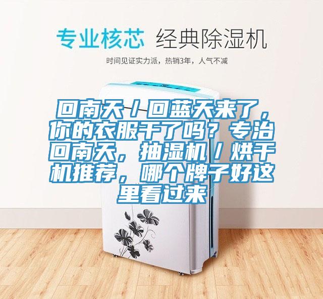 回南天／回藍天來了，你的衣服干了嗎？專治回南天，抽濕機／烘干機推薦，哪個牌子好這里看過來
