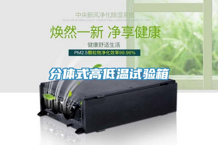 分體式高低溫試驗(yàn)箱