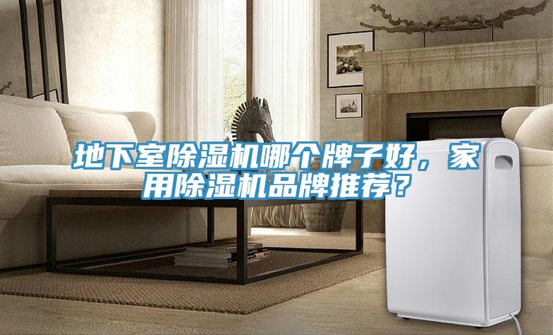 地下室除濕機哪個牌子好，家用除濕機品牌推薦？