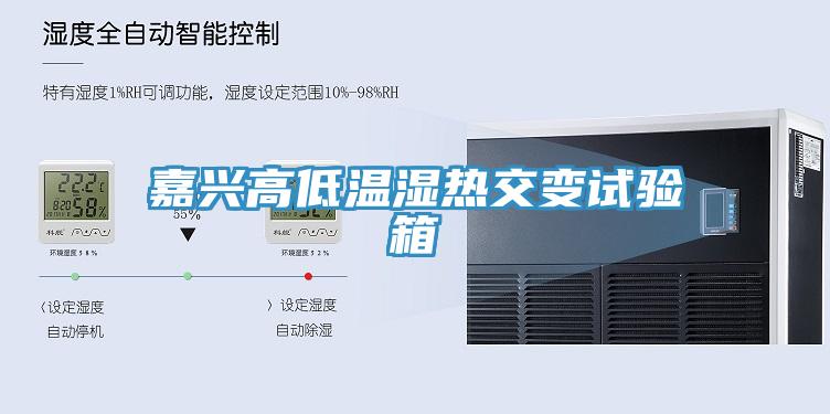 嘉興高低溫濕熱交變?cè)囼?yàn)箱