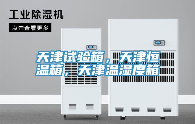 天津試驗箱，天津恒溫箱，天津溫濕度箱